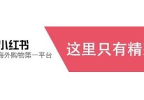 小紅書APP開發運營方案